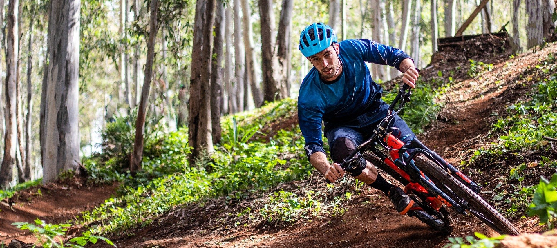 A mountain biker in a blue shirt and helmet racing down a trail in the woods
